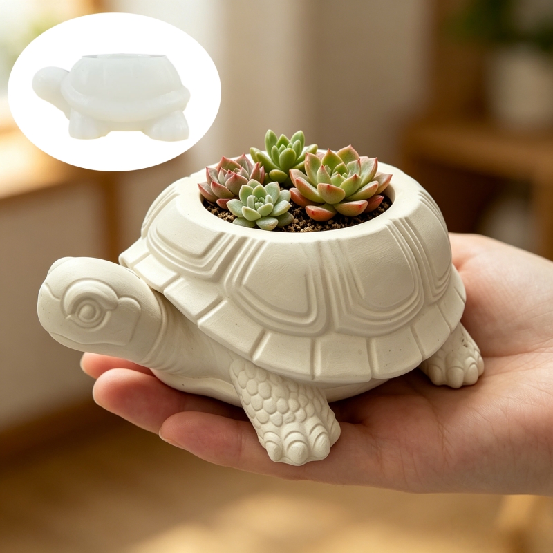 Turtle shaped succulent plant  - Potsticker Mold review and price